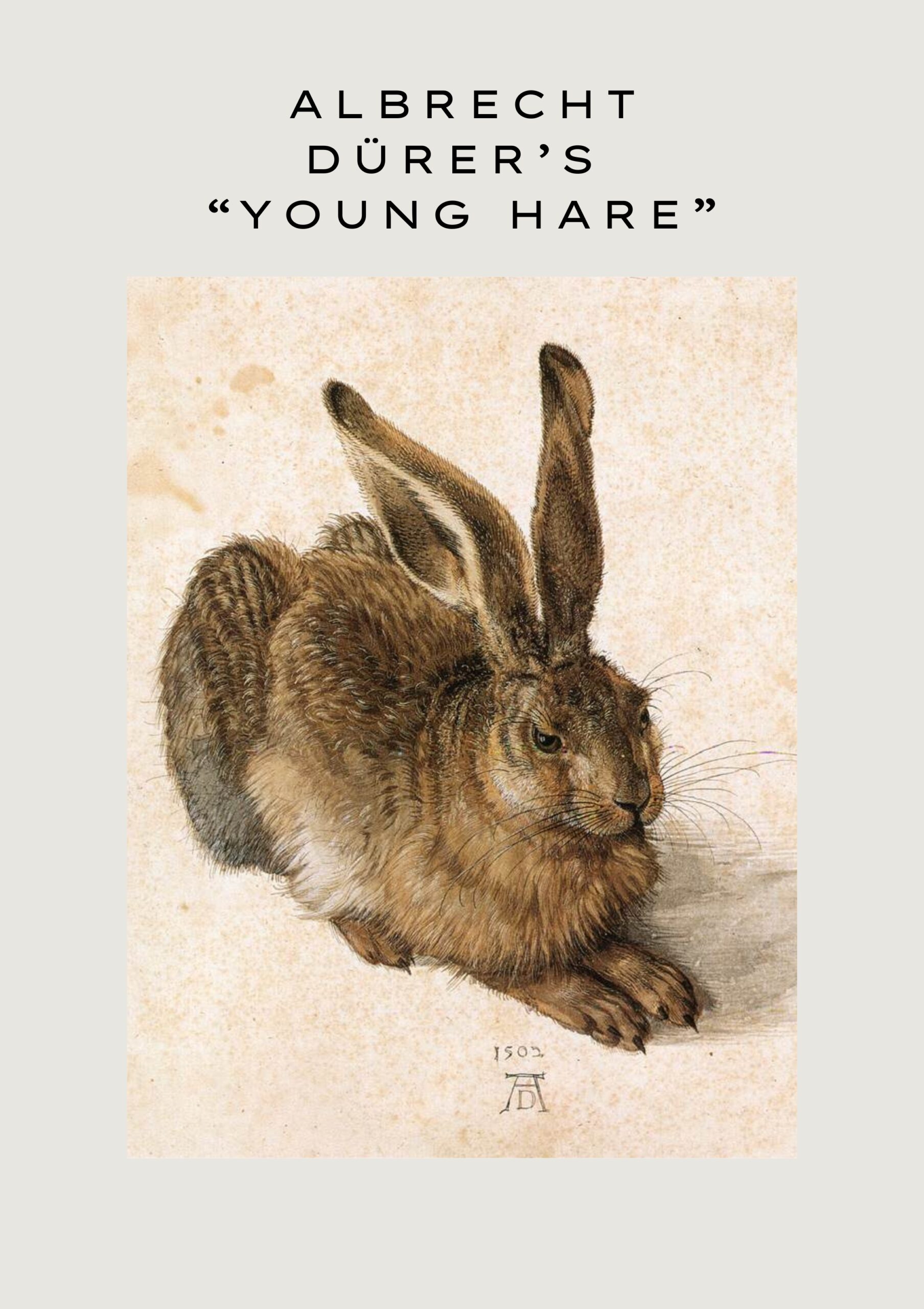 Albrecht Dürer’s “Young Hare” - Wall Art Masterpiece